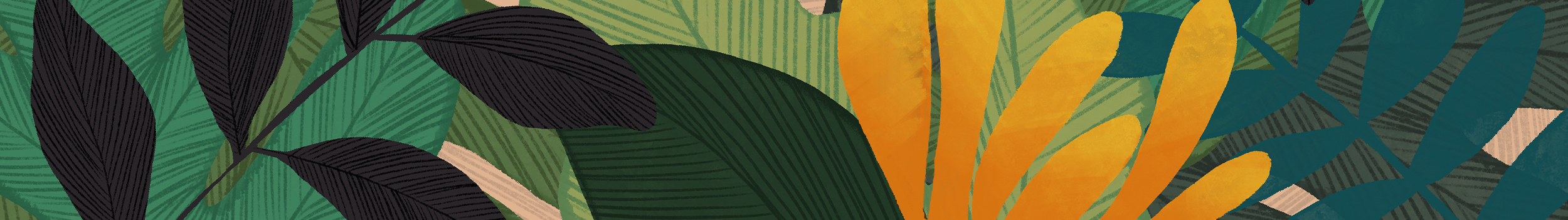 Clover