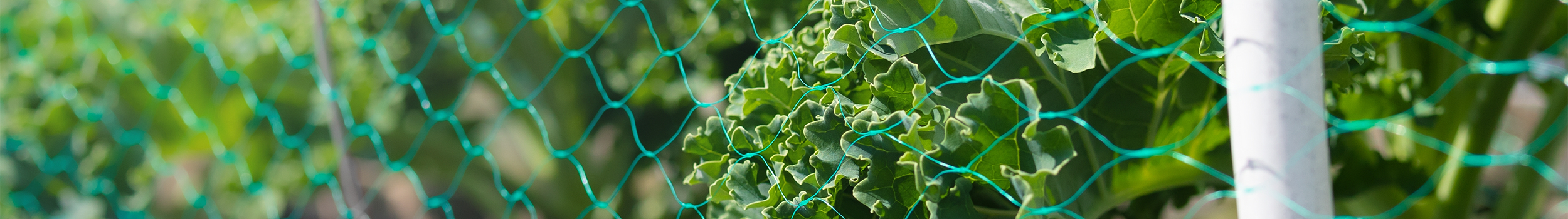 Windbreak Netting