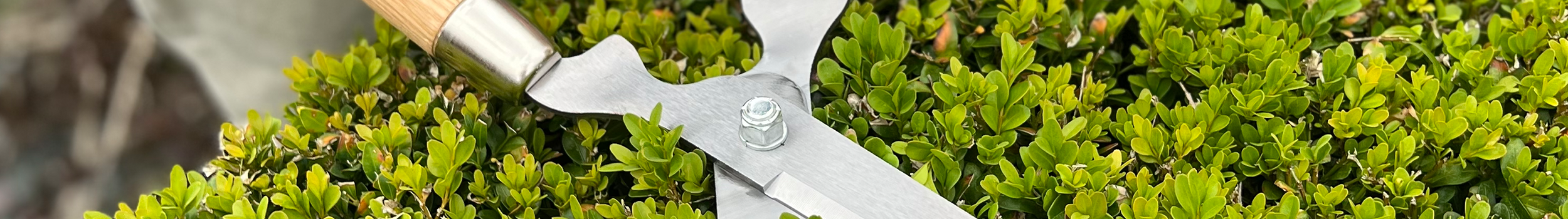Secateurs