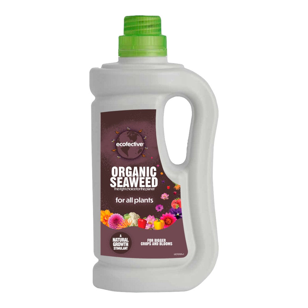 Organic Seaweed 800ml