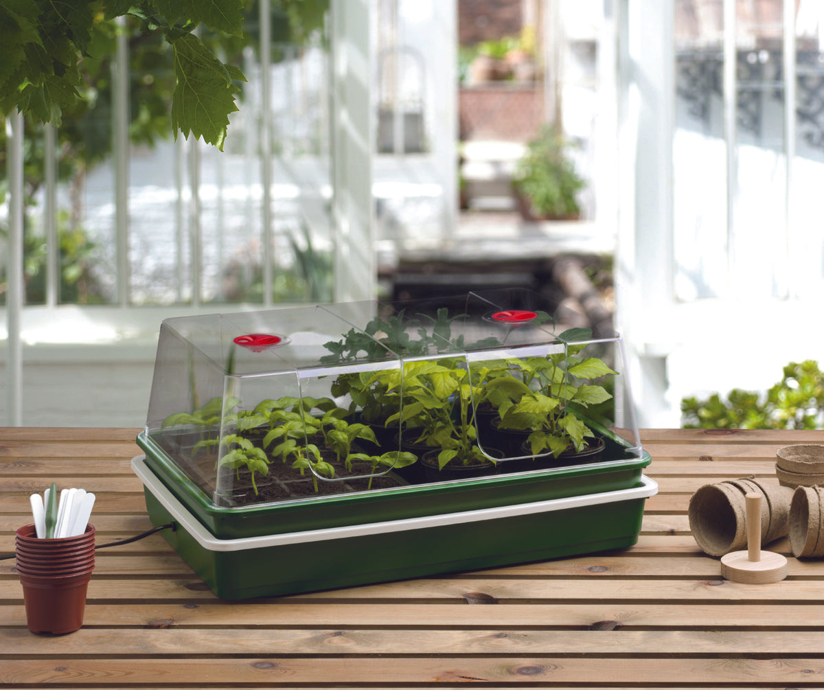 GARLAND XL High Dome Electric Propagator