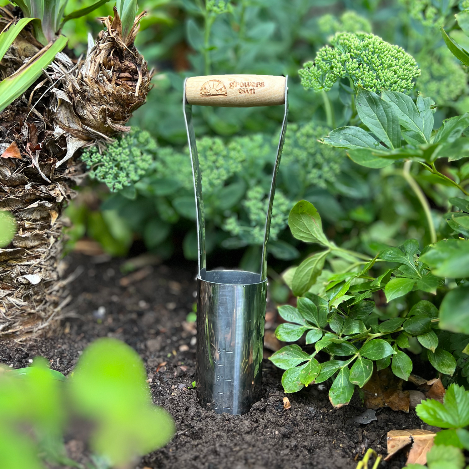 Growers Own Stainless Steel Bulb Planter with Ash Wood Handle