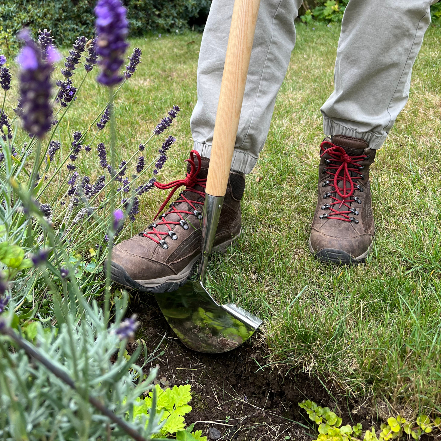 Growers Own Stainless Steel Lawn Edger with Ash Wood Handle