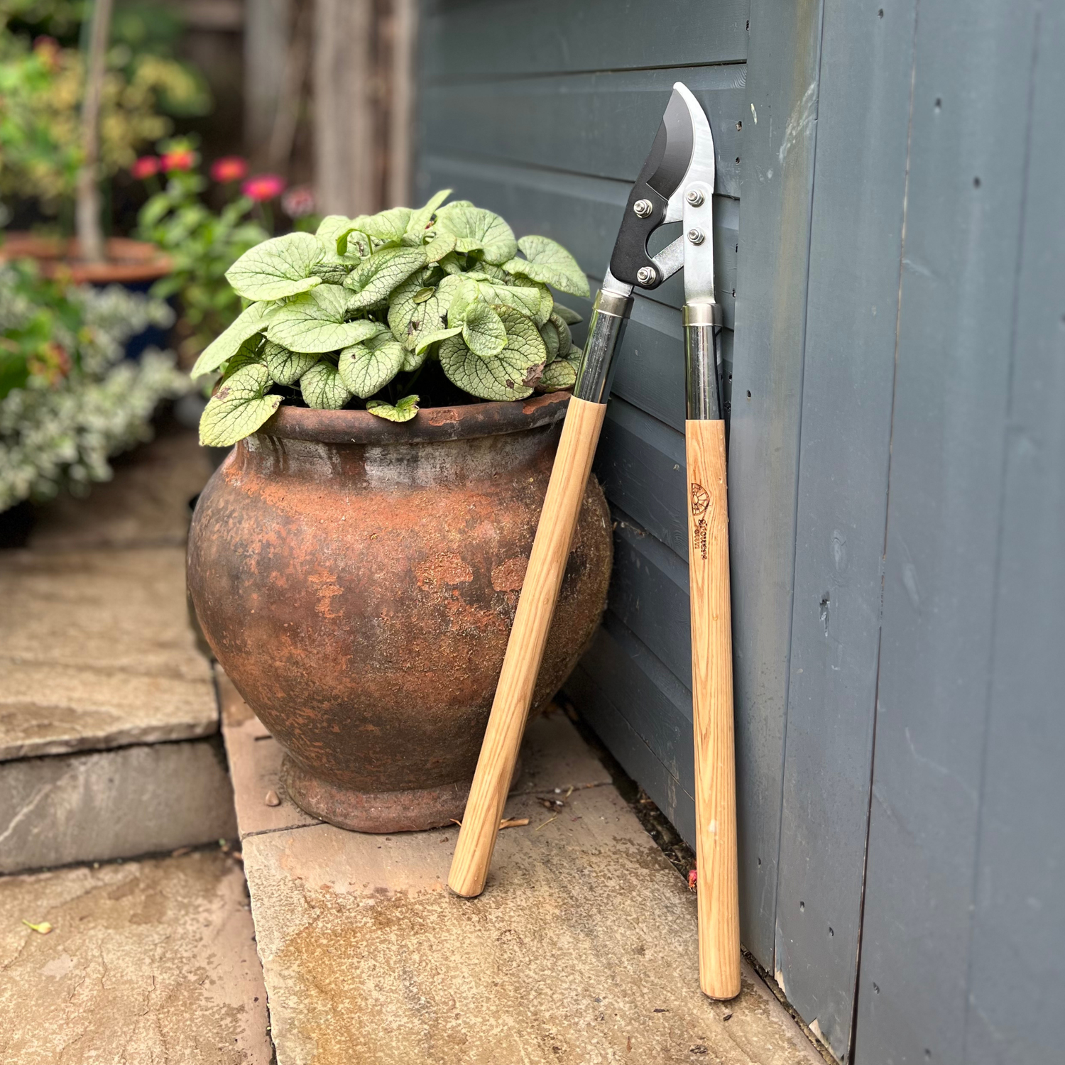 Growers Own Stainless Steel Bypass Lopper with Ash Wood Handle