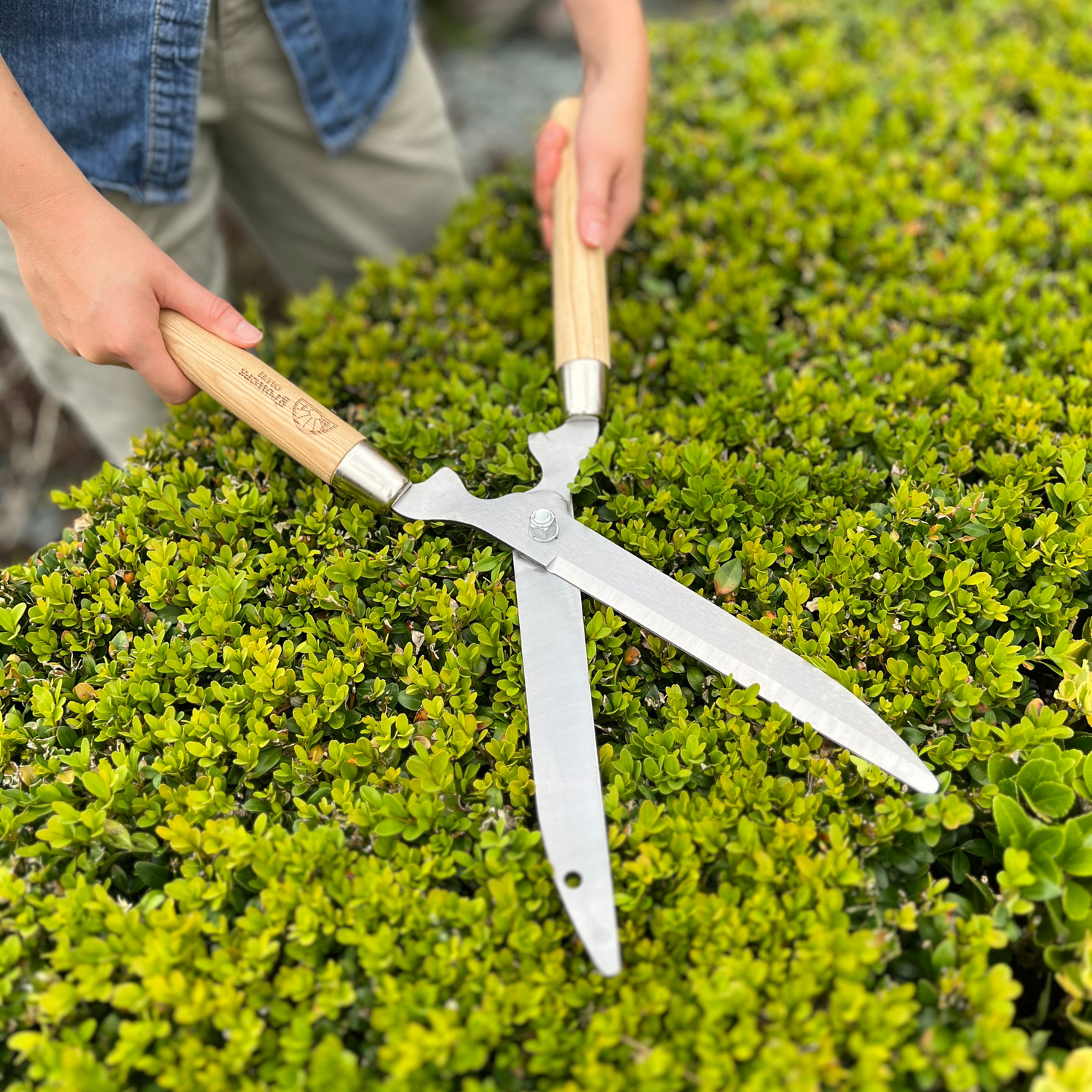 Growers Own Stainless Steel Hedge Shears with Ash Wood Handle