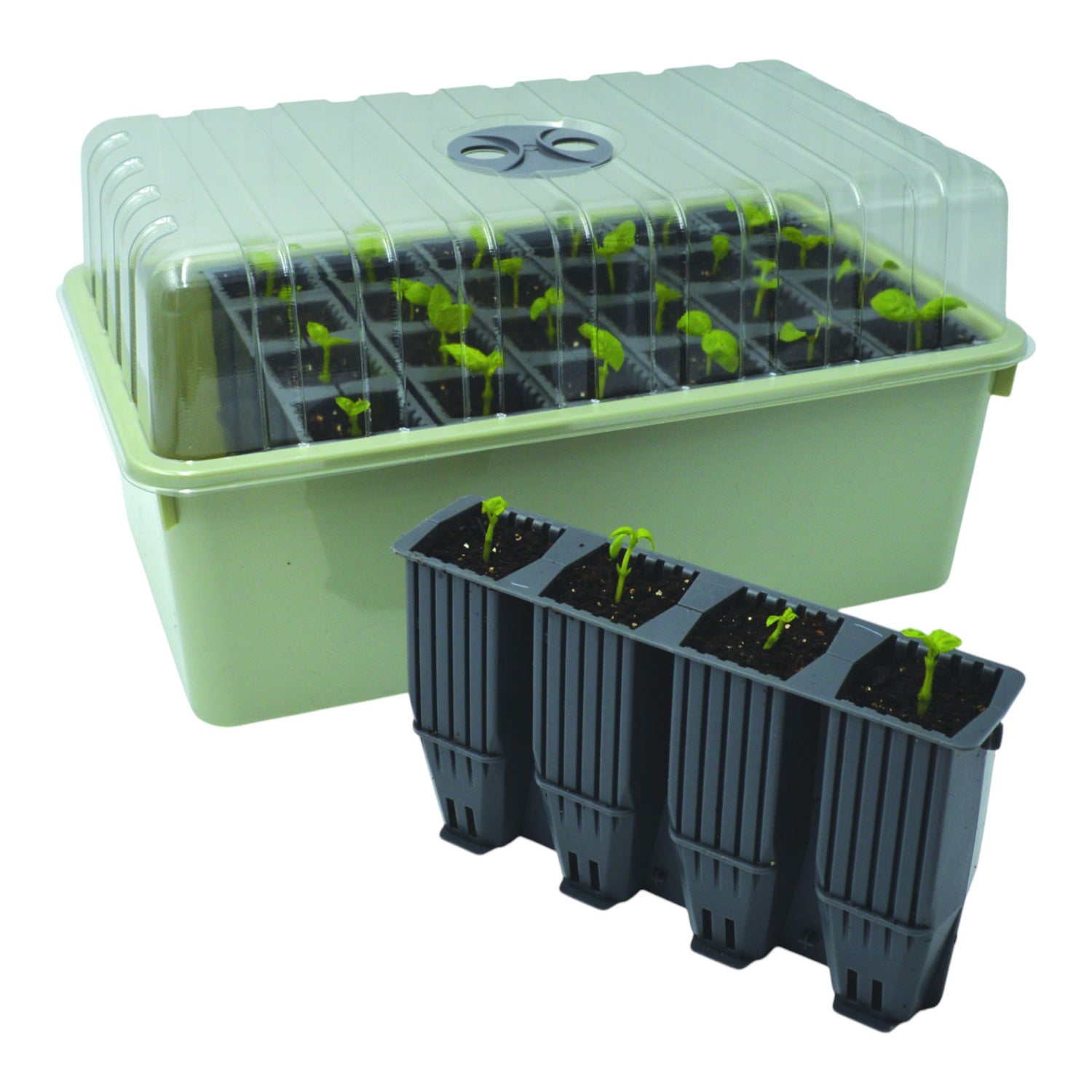 GARLAND 28 Cell Deep Root Success Kit