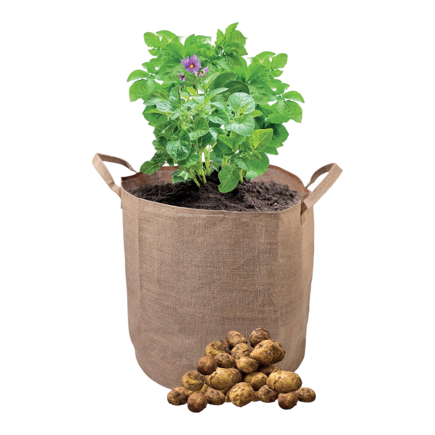 GARLAND Jute Potato Bag