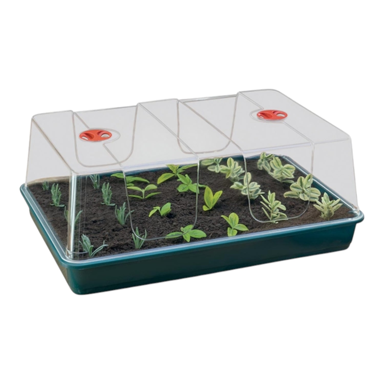 GARLAND XL High Dome Propagator Green Without Holes