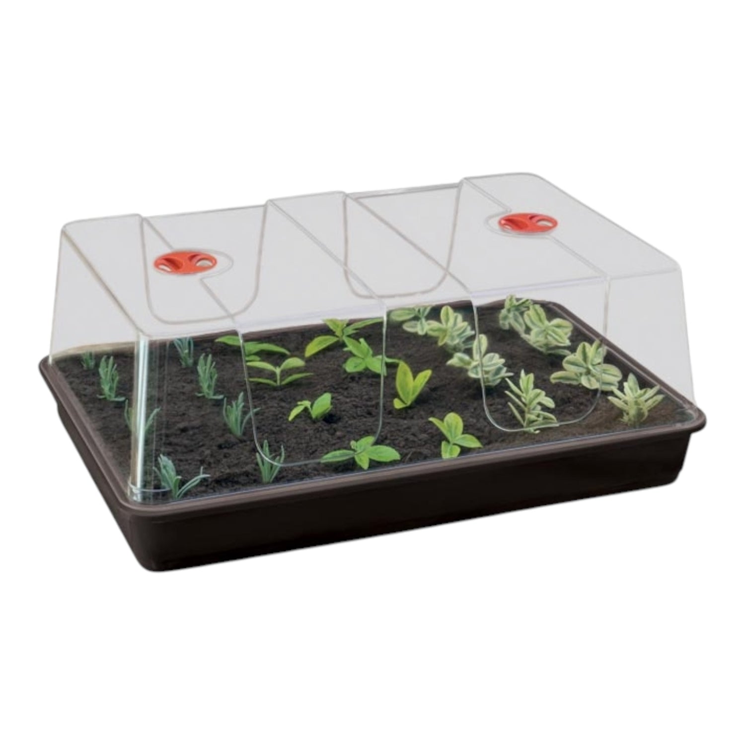 GARLAND XL High Dome Propagator Black Without Holes