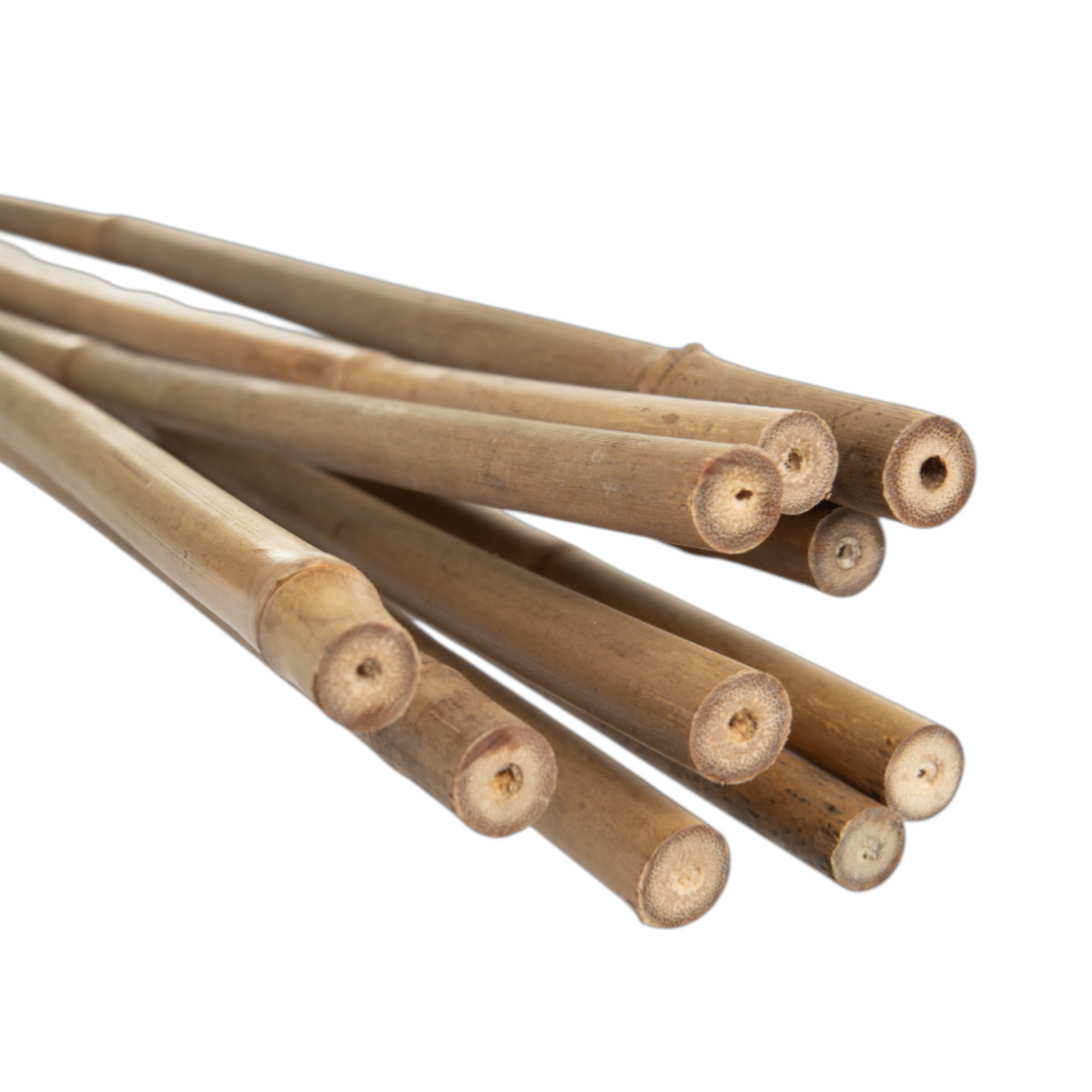 GROWERS OWN Bamboo 90cm 8-10mm (10 per pack)