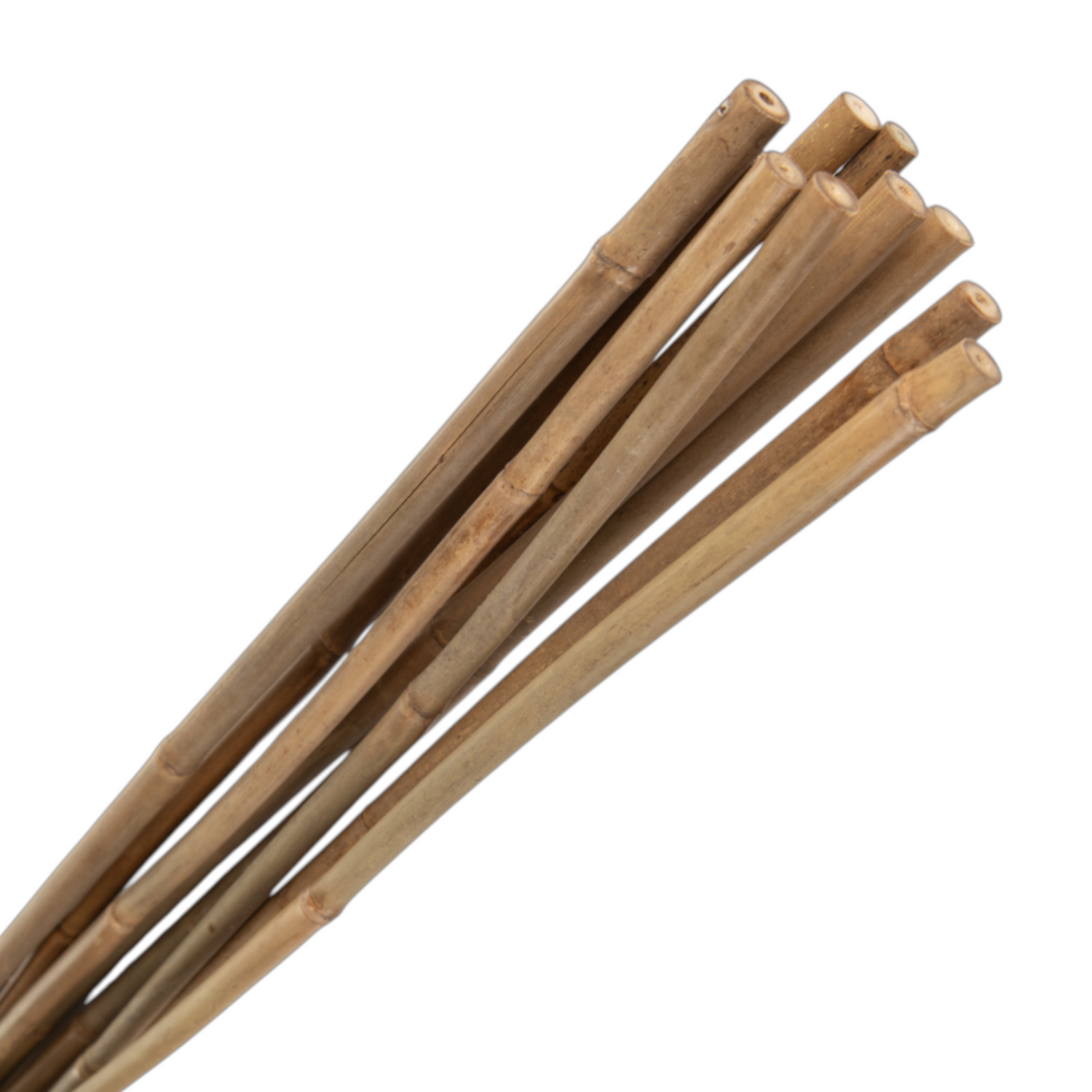 GROWERS OWN Bamboo 90cm 8-10mm (10 per pack)