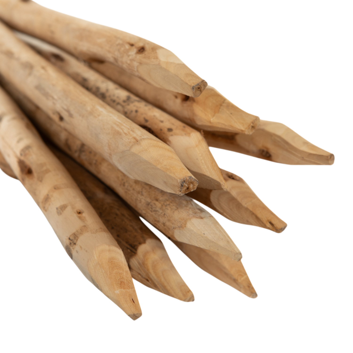 Hardwood Tree Stakes 120cm x 22-30mm (pack of 25)