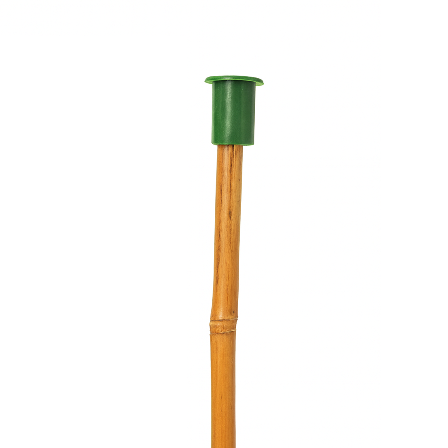 Cane Cap for Large Thick Canes GREEN