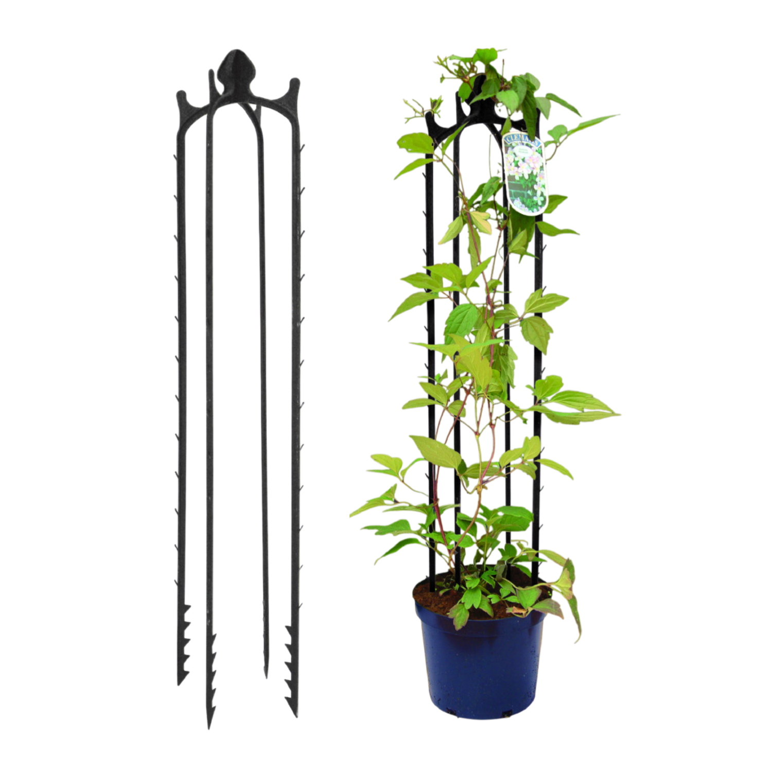 Obelisk 2 - 83cm BLACK