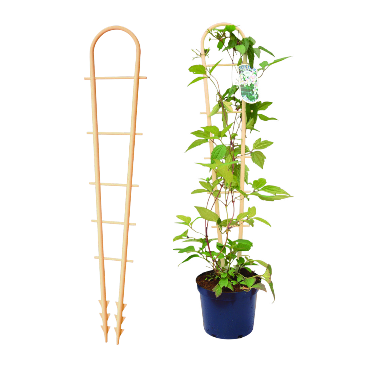 Stick-In Trellis 83cm 32.5" BAMBOO