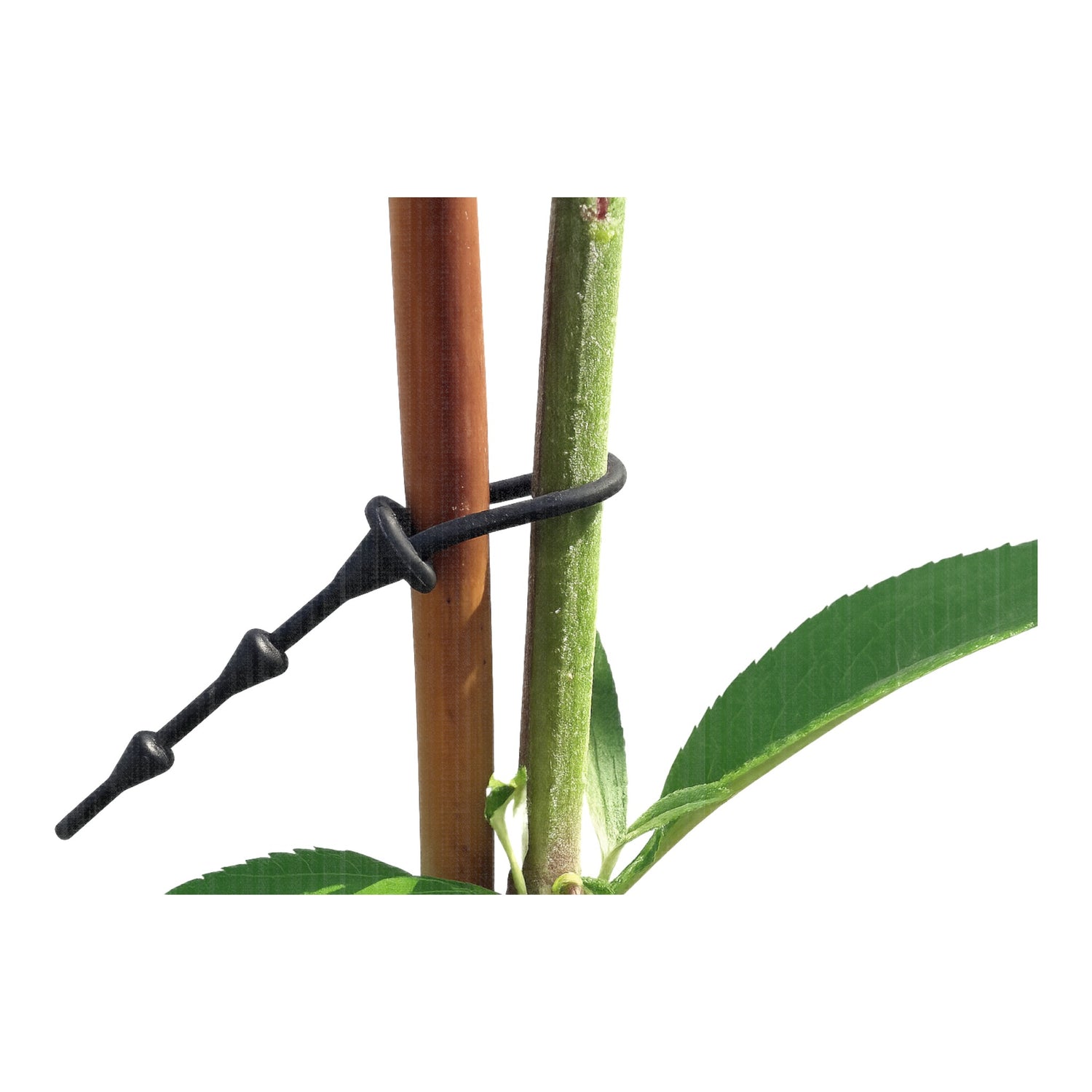 Super Soft Adjustable Shrub Tie 31cm 310mm Long BLACK