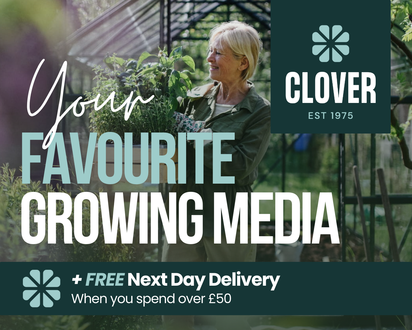 Clover ☘️ Your Favourite Growing Media