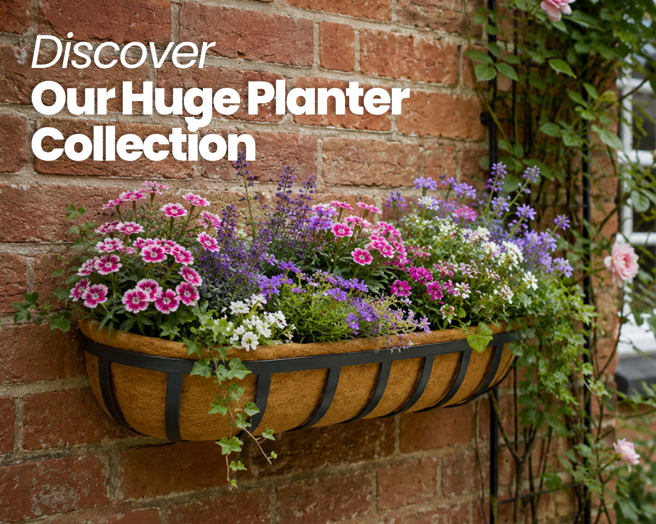 Mix & Match Your Favourite Planters & Save Up To 15%