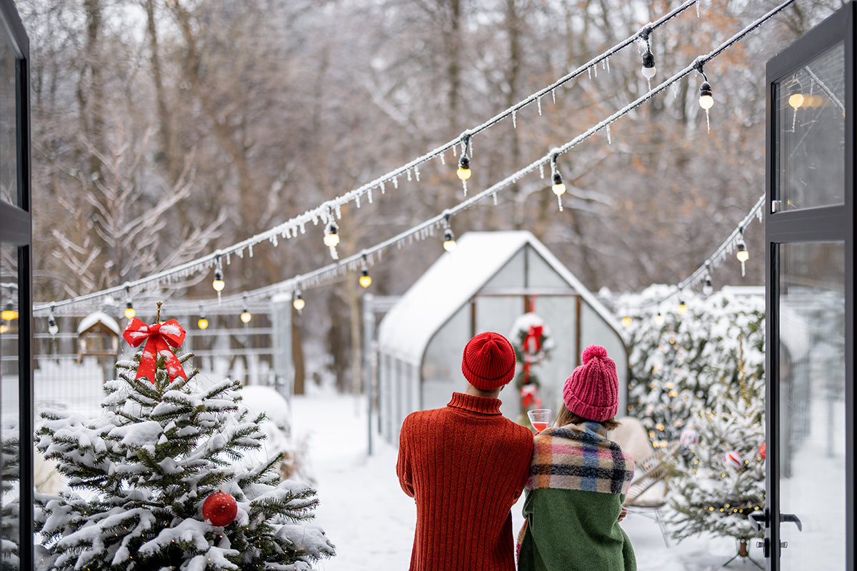 January Gardening Jobs – What to Do in Your Garden This Month