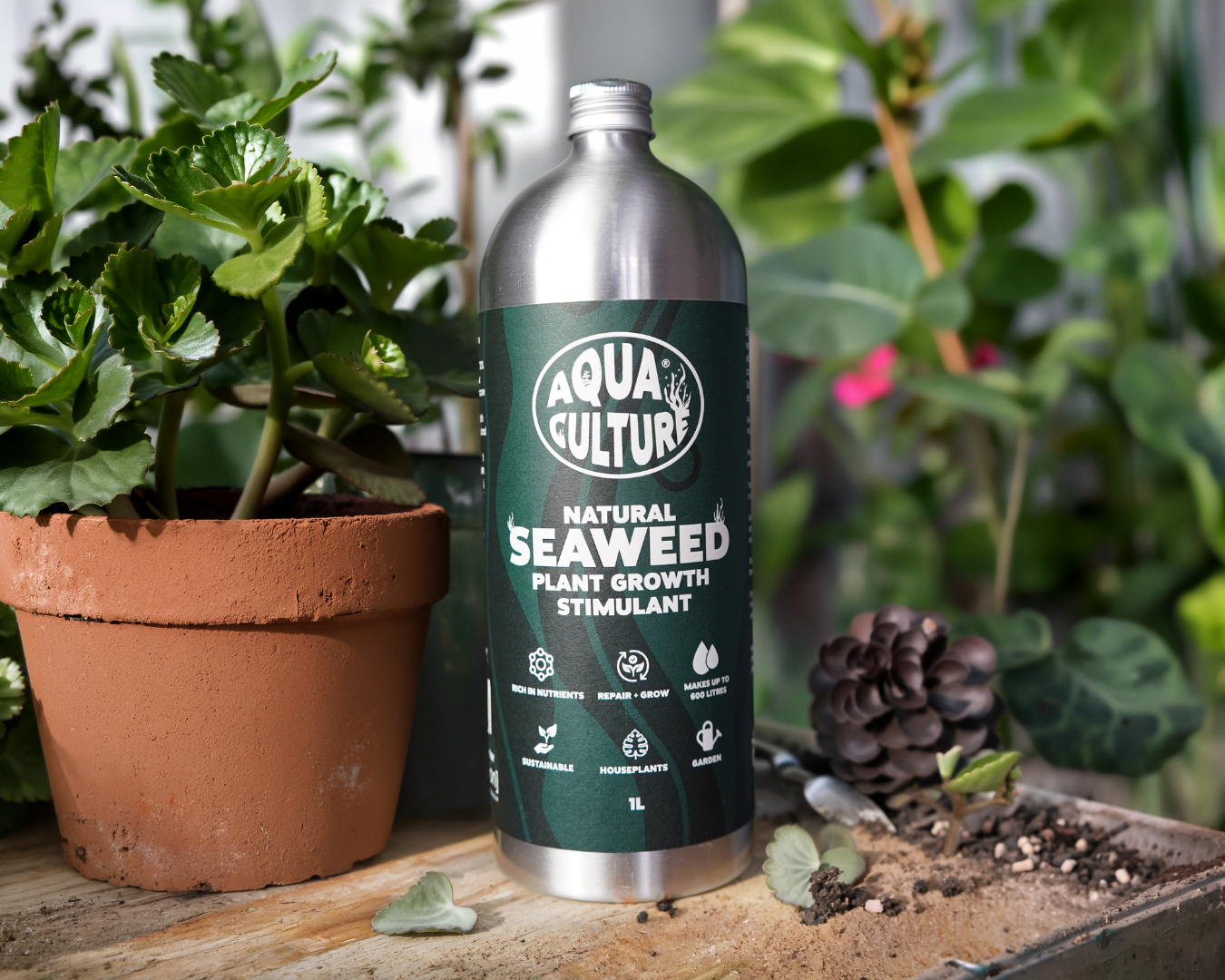 A liquid seaweed feed with a real soil health story