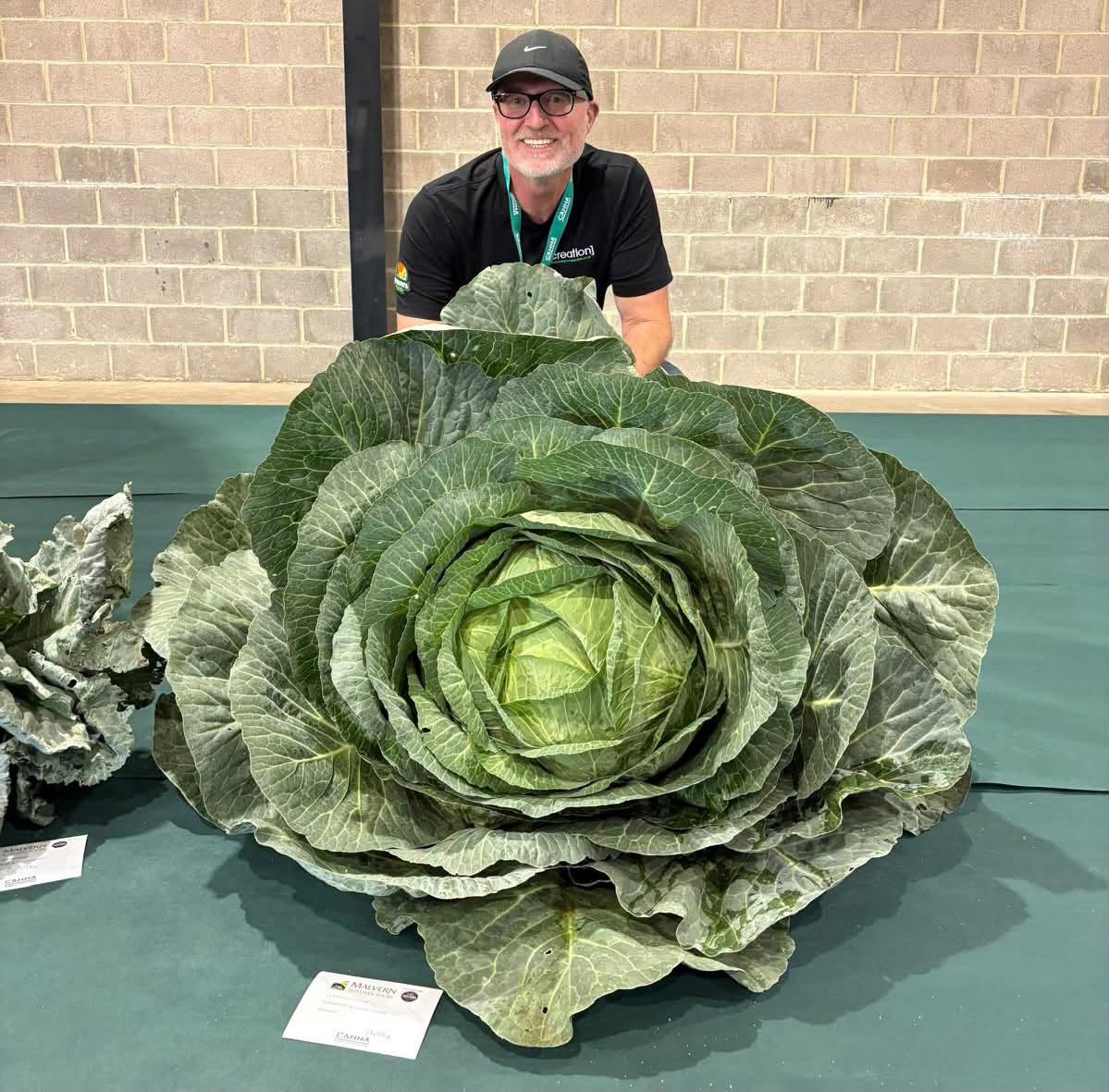 From Allotment to Show Bench: Giant Veg Success at Malvern 🏆