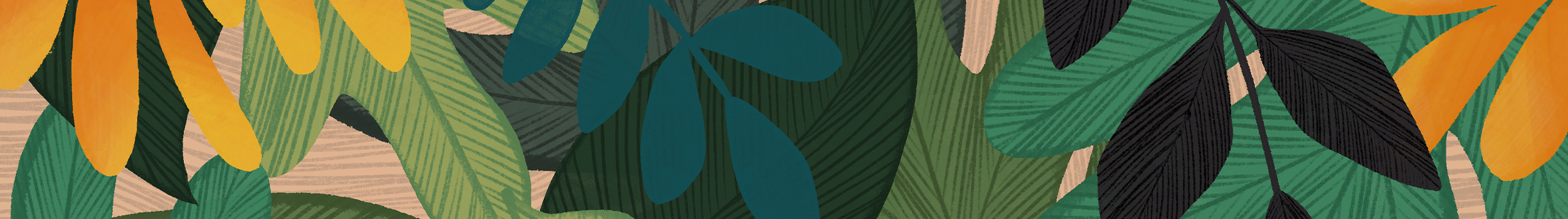 Christmas Gift Guide