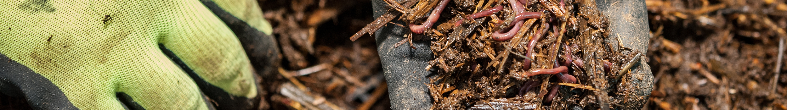 Growing Media & Compost