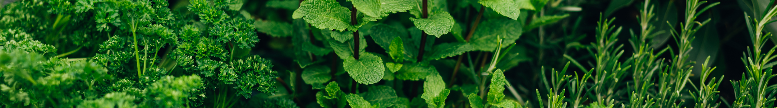 Herbs