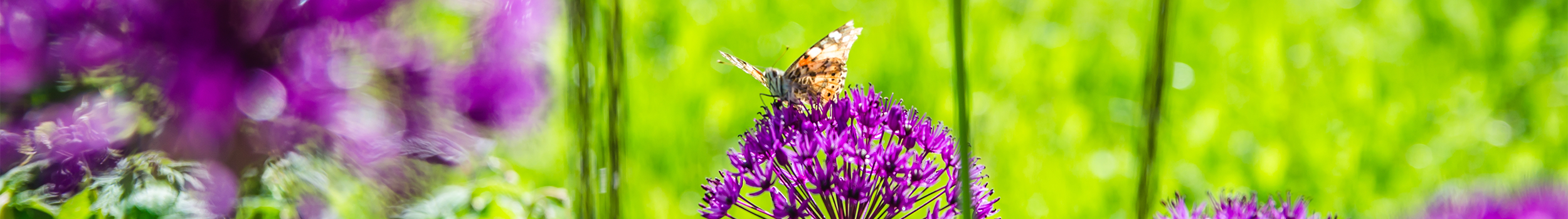 Home, Garden & Pet Care