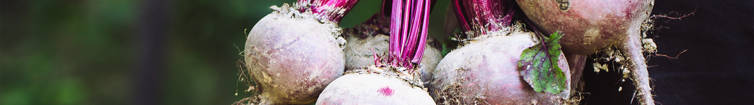 Fertilisers and Plant Food