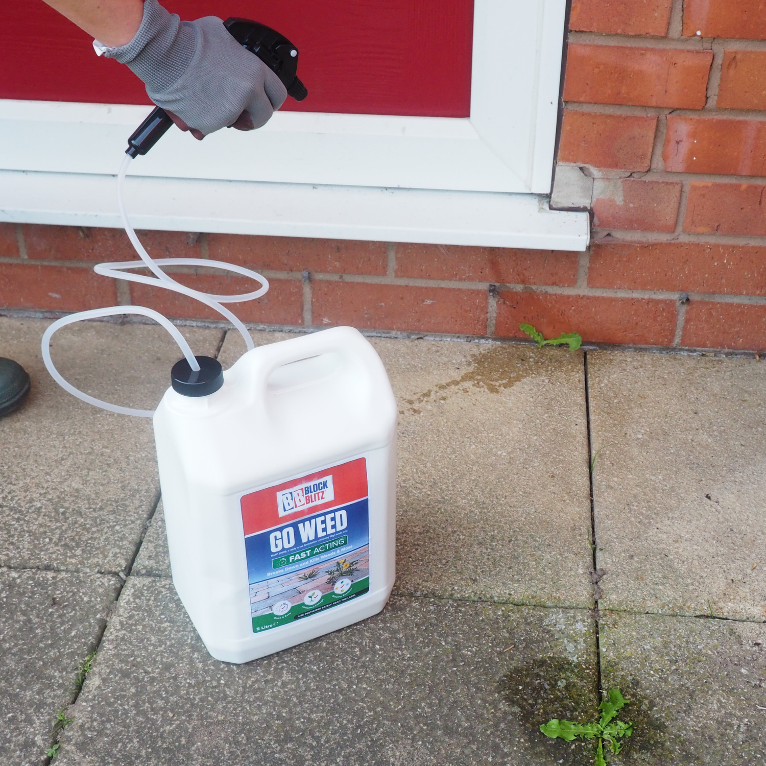 BLOCK BLITZ Go Weed 5L