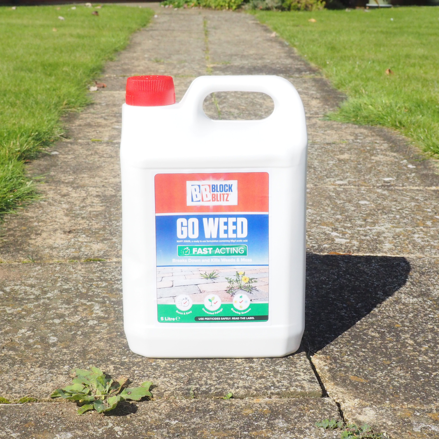 BLOCK BLITZ Go Weed 5L