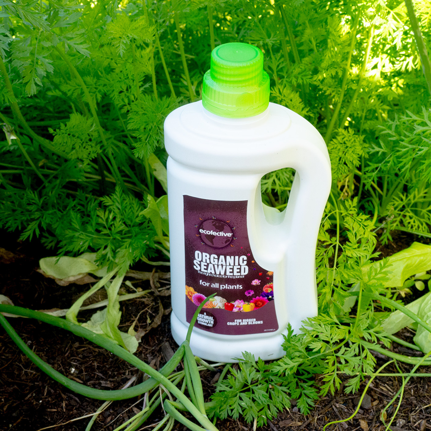 Organic Seaweed 800ml