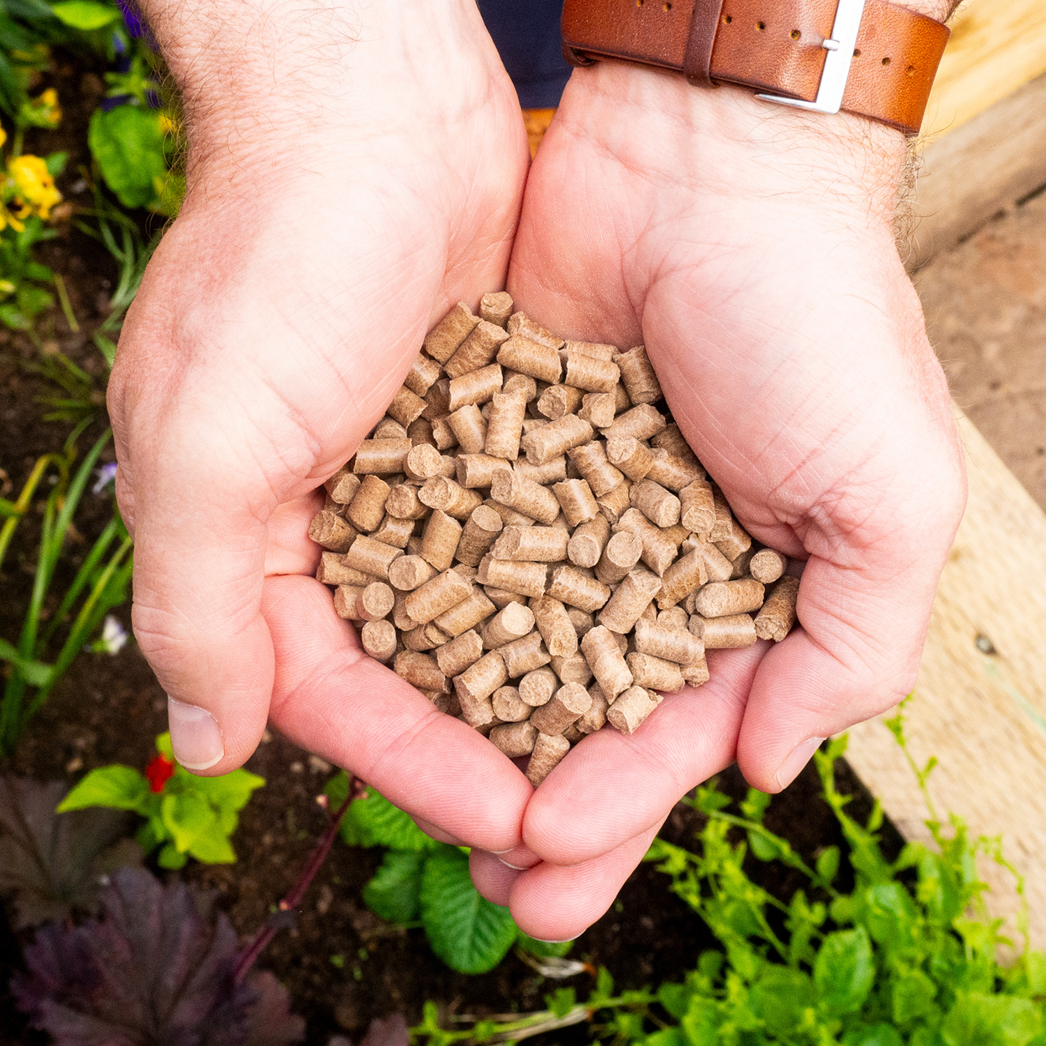 Organic Superfood All Plants - Pellets 800g