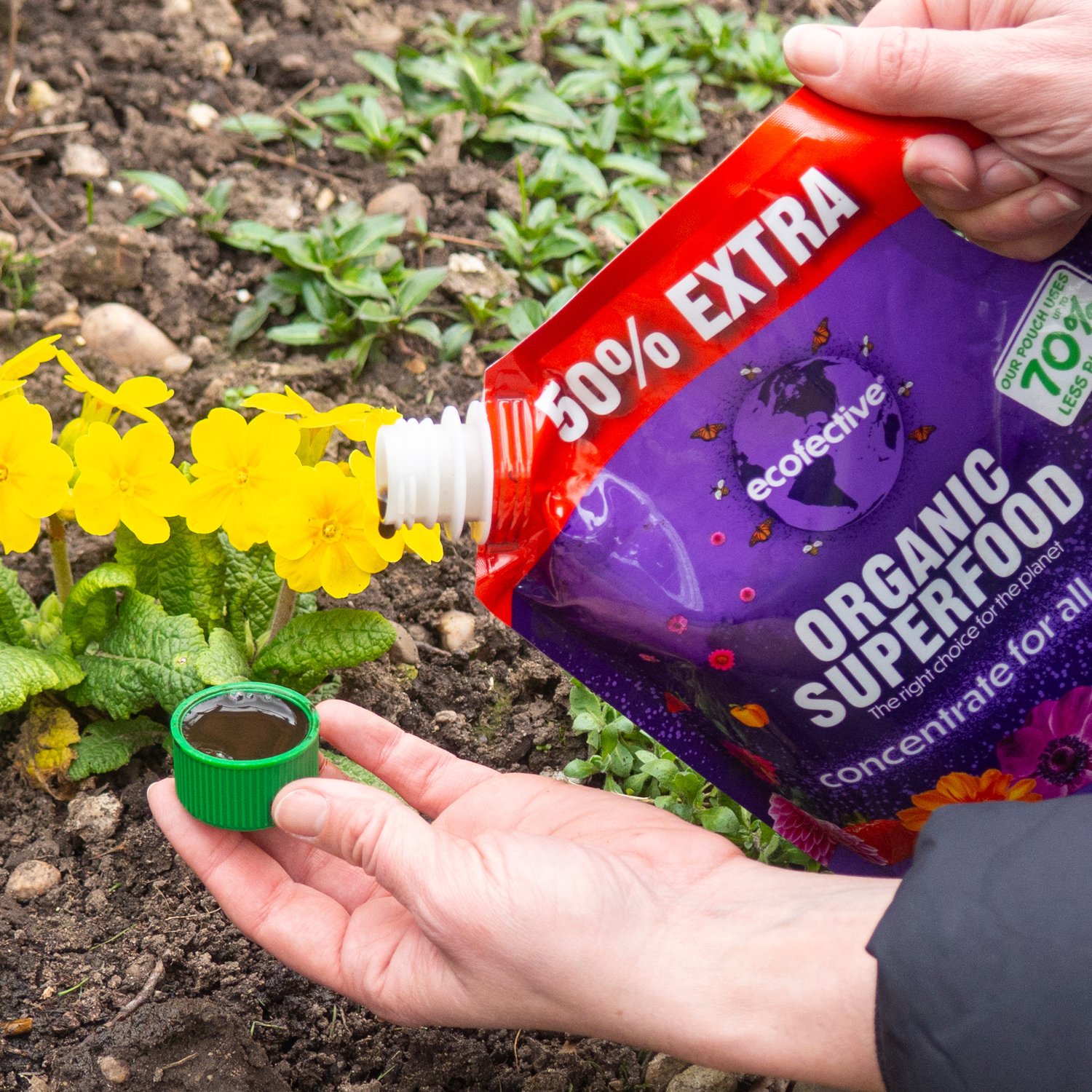 All Plants Organic Superfood 50% extra free 1.2L