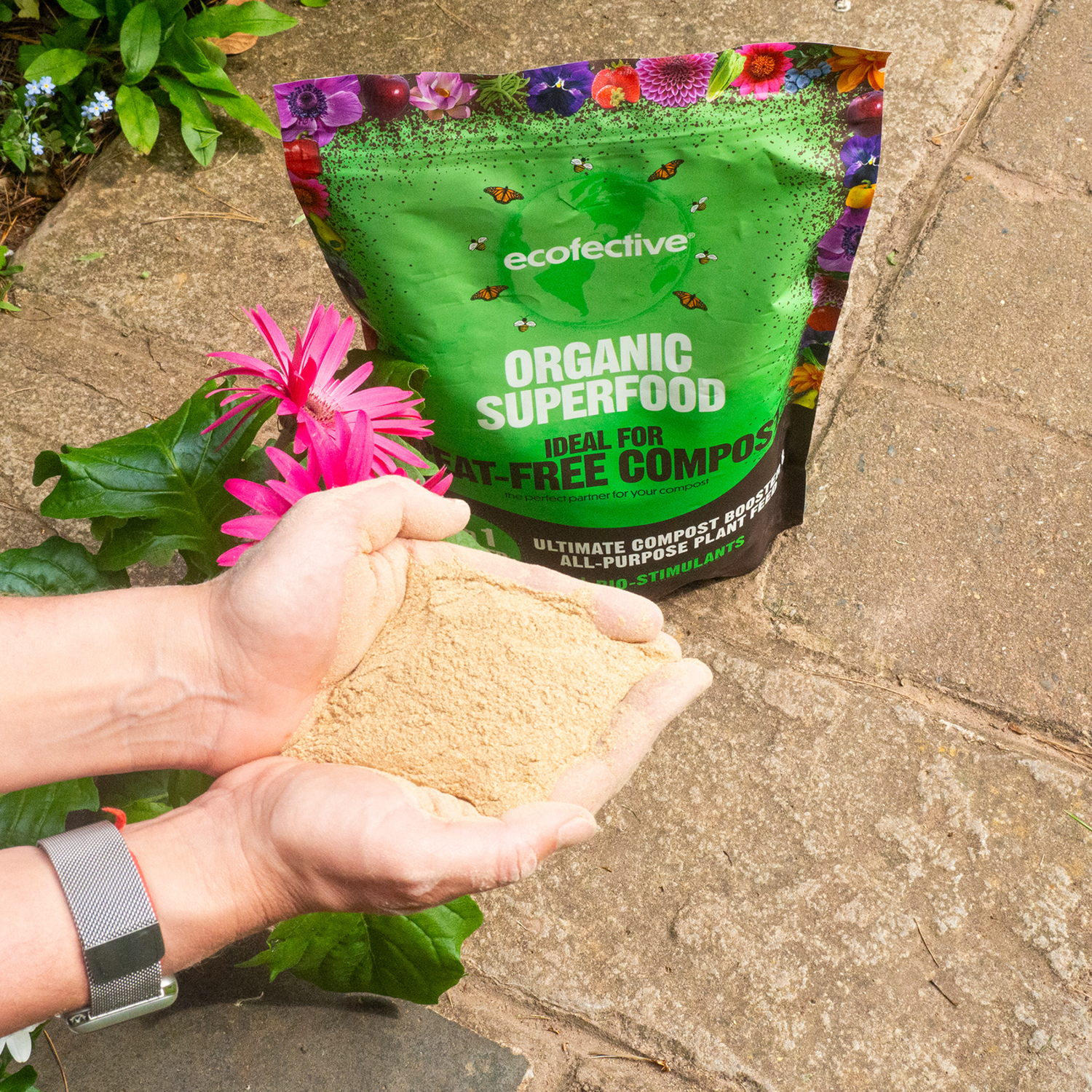 Organic Superfood for Peat-Free Compost - Powder