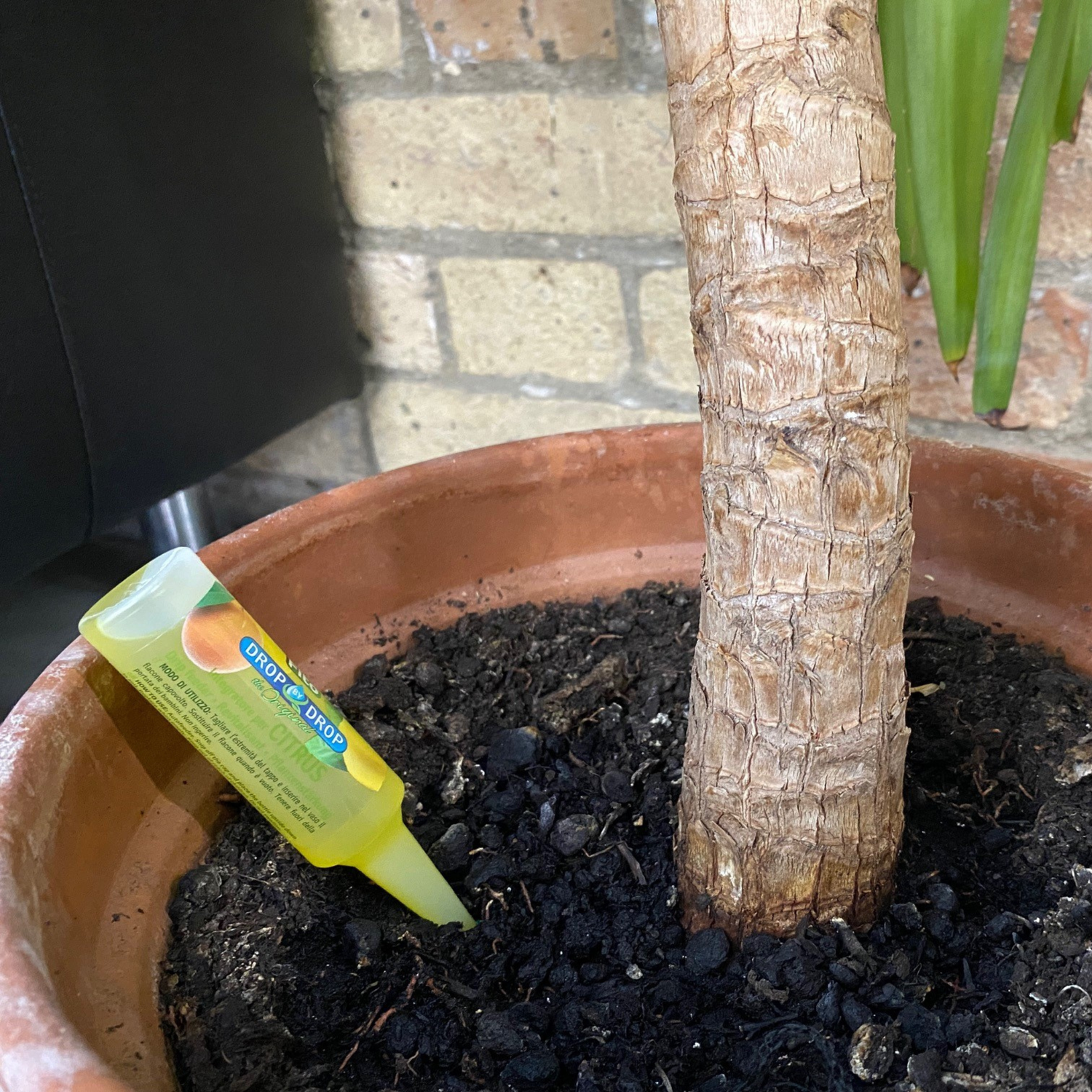 FITO Citrus Drip Feeders 1x32 ml