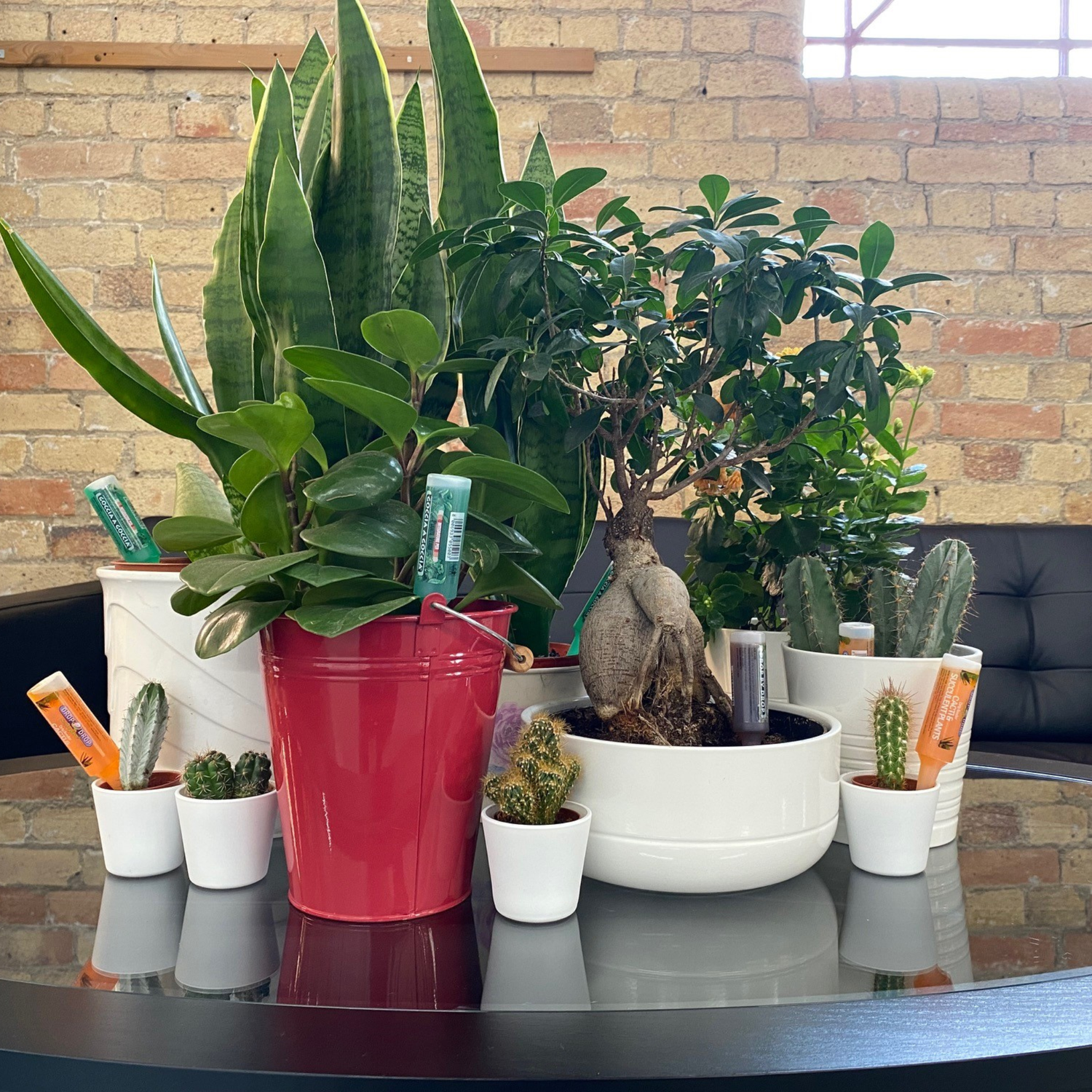 FITO Foliage Drip Feeders 1x32 ml