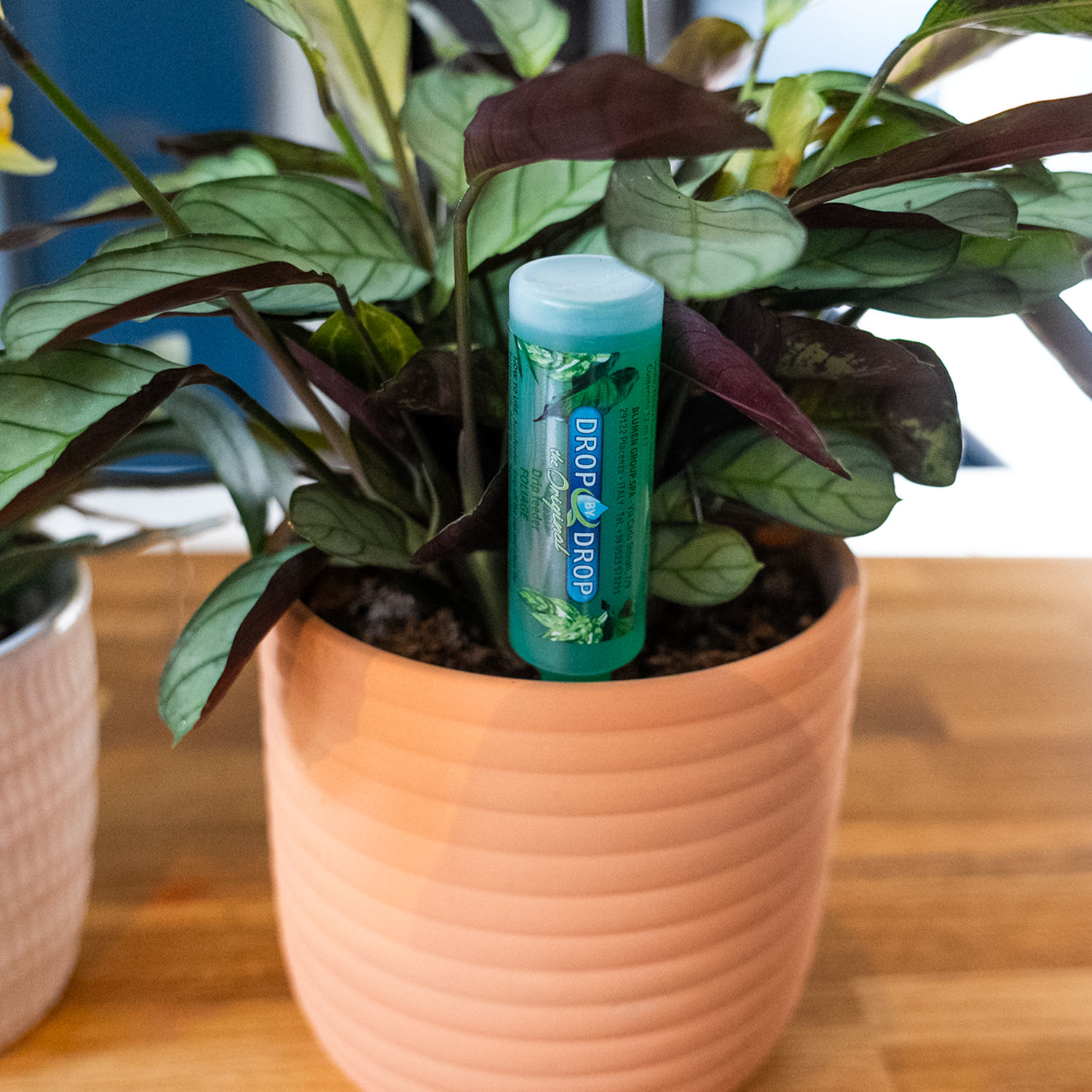 FITO Foliage Drip Feeders 5x32ml