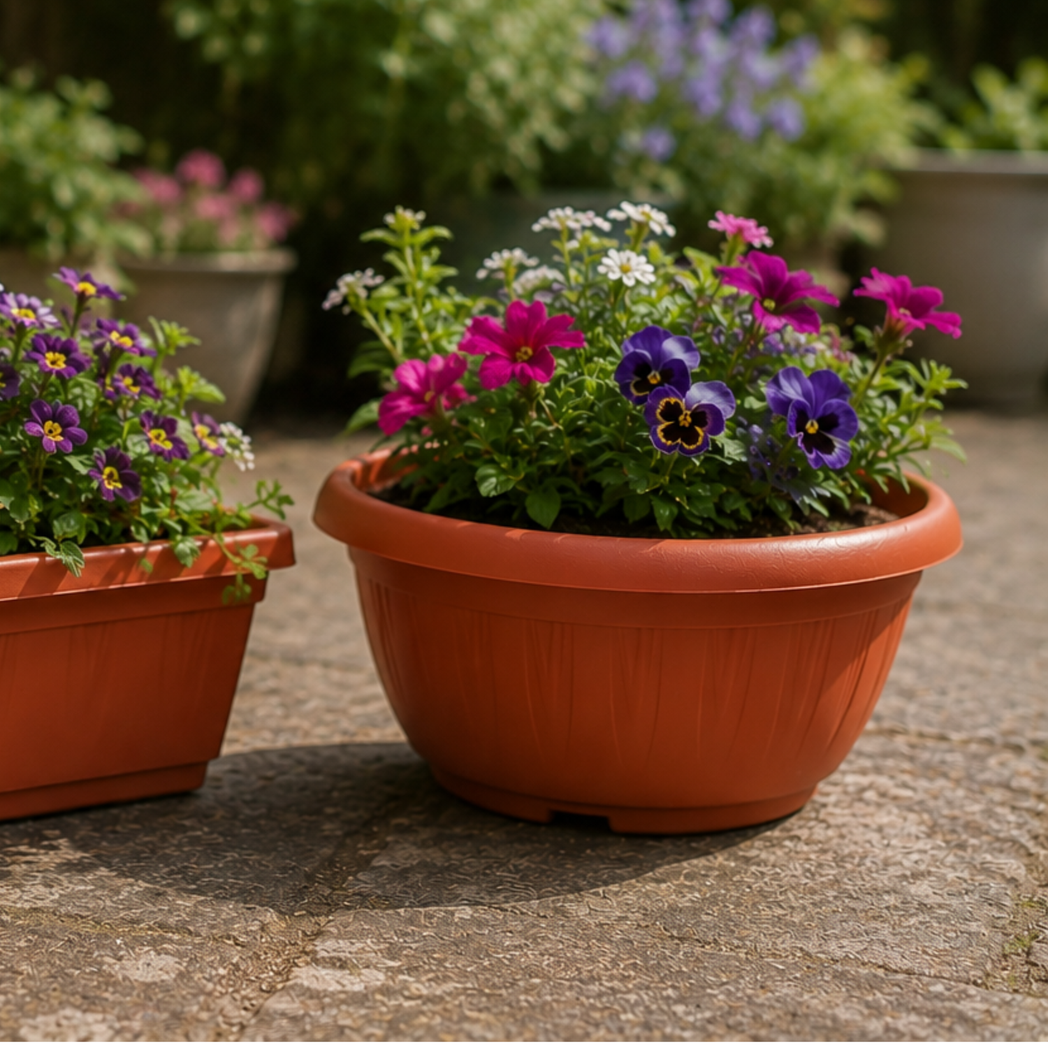 1.9L Luna Bowl Terracotta Planter 21.5cm x 9.5cm