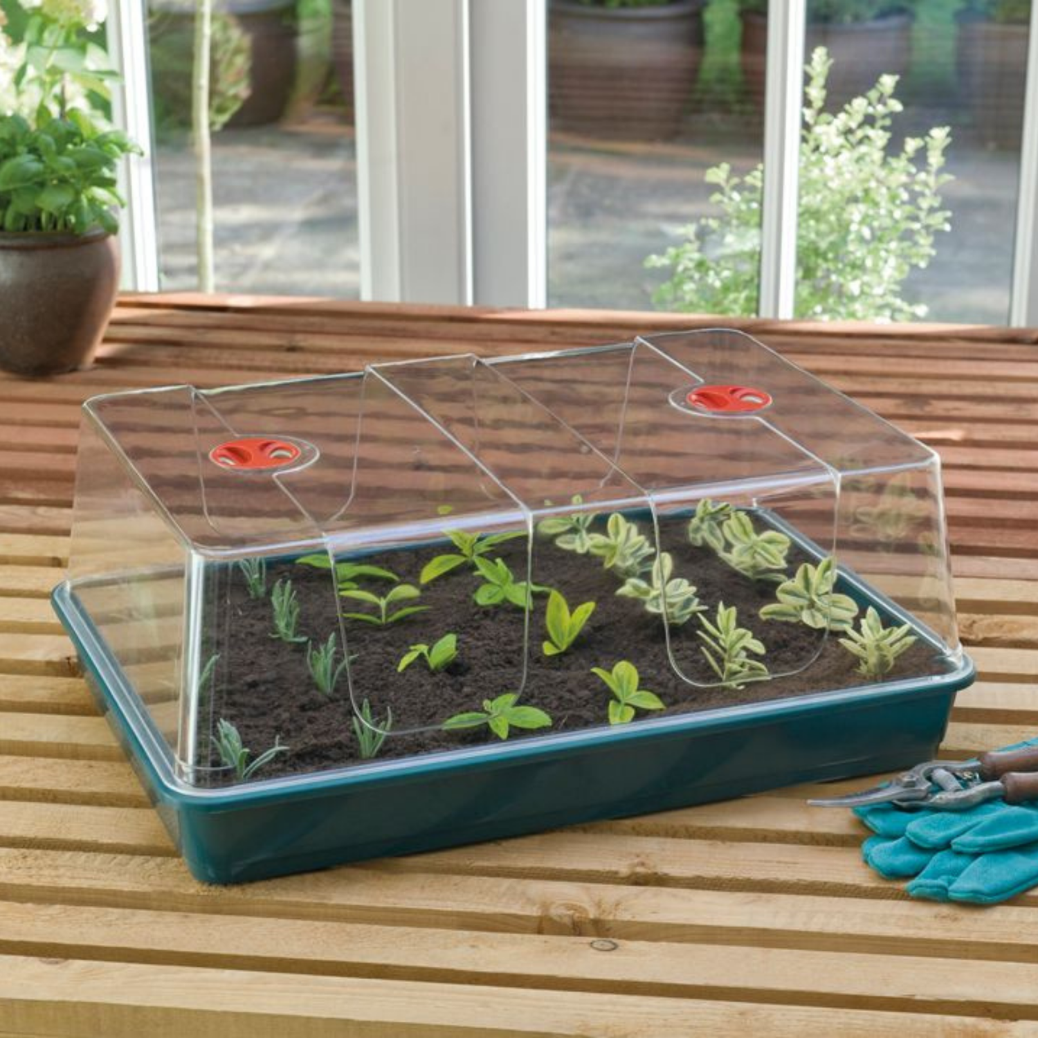 GARLAND XL High Dome Propagator Green Without Holes