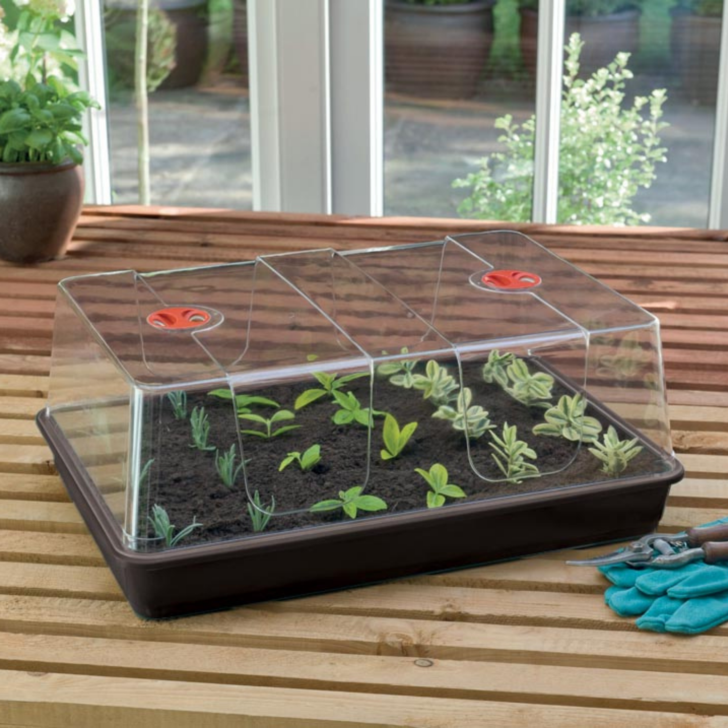 GARLAND XL High Dome Propagator Black Without Holes