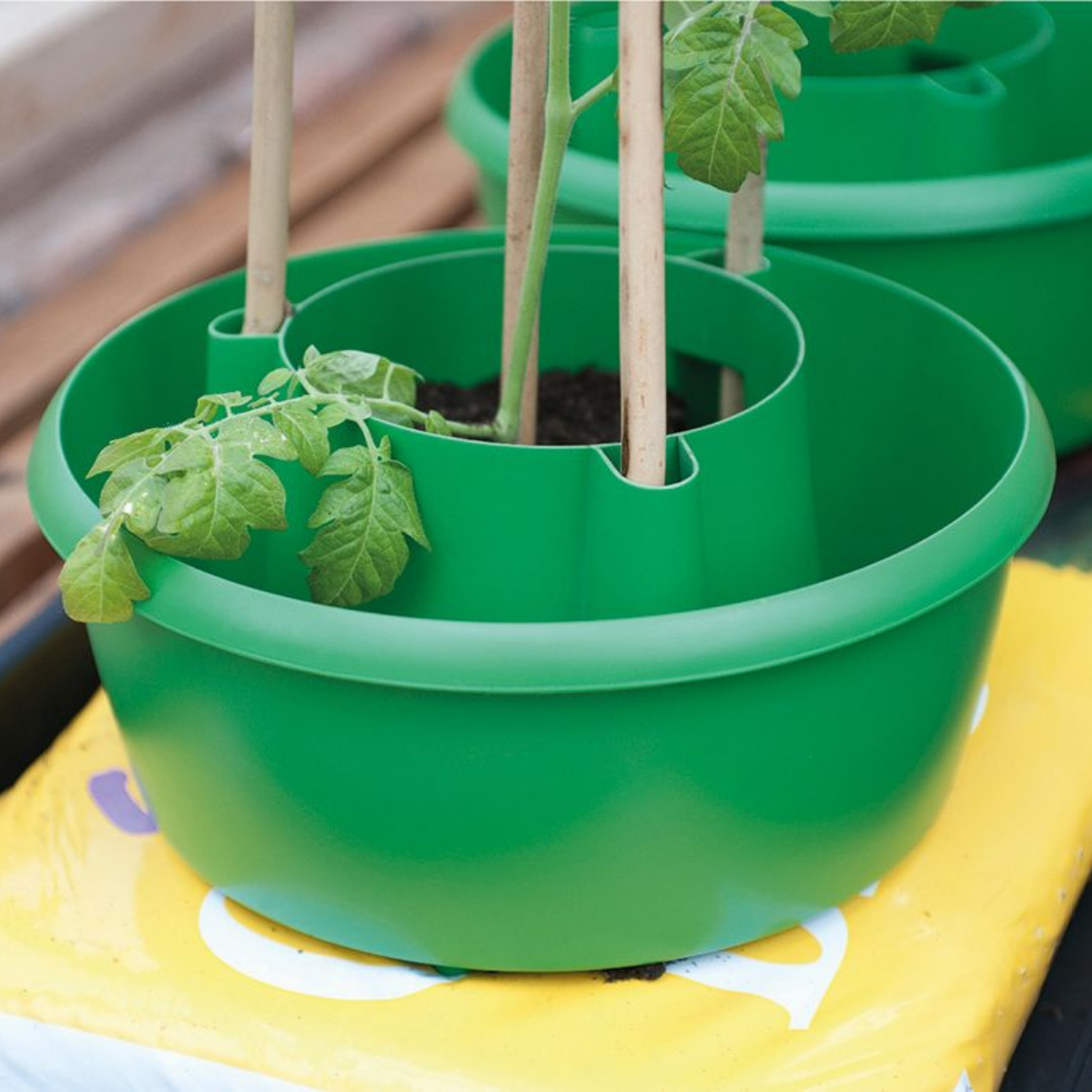 GARLAND Plant Halos Green - Set of 3