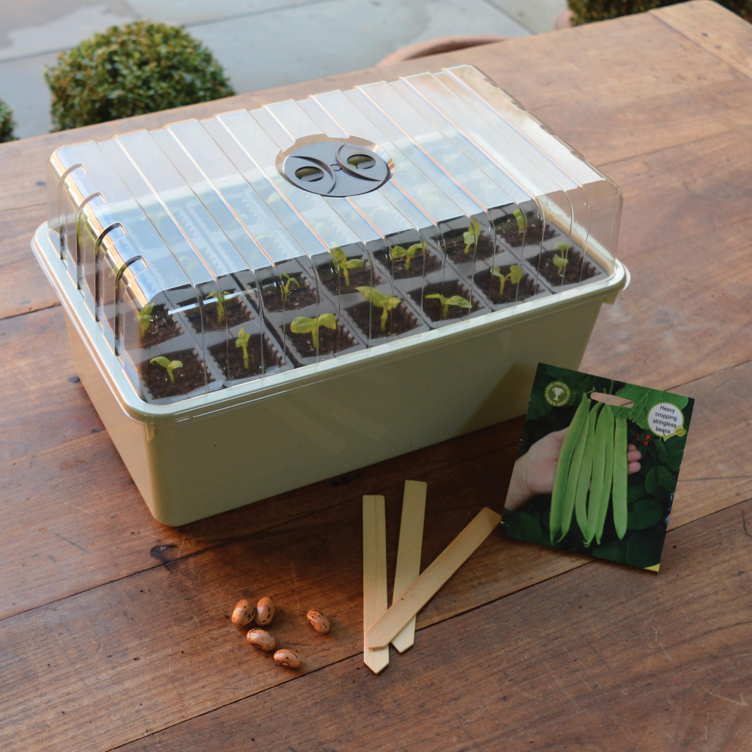 GARLAND 28 Cell Deep Root Success Kit