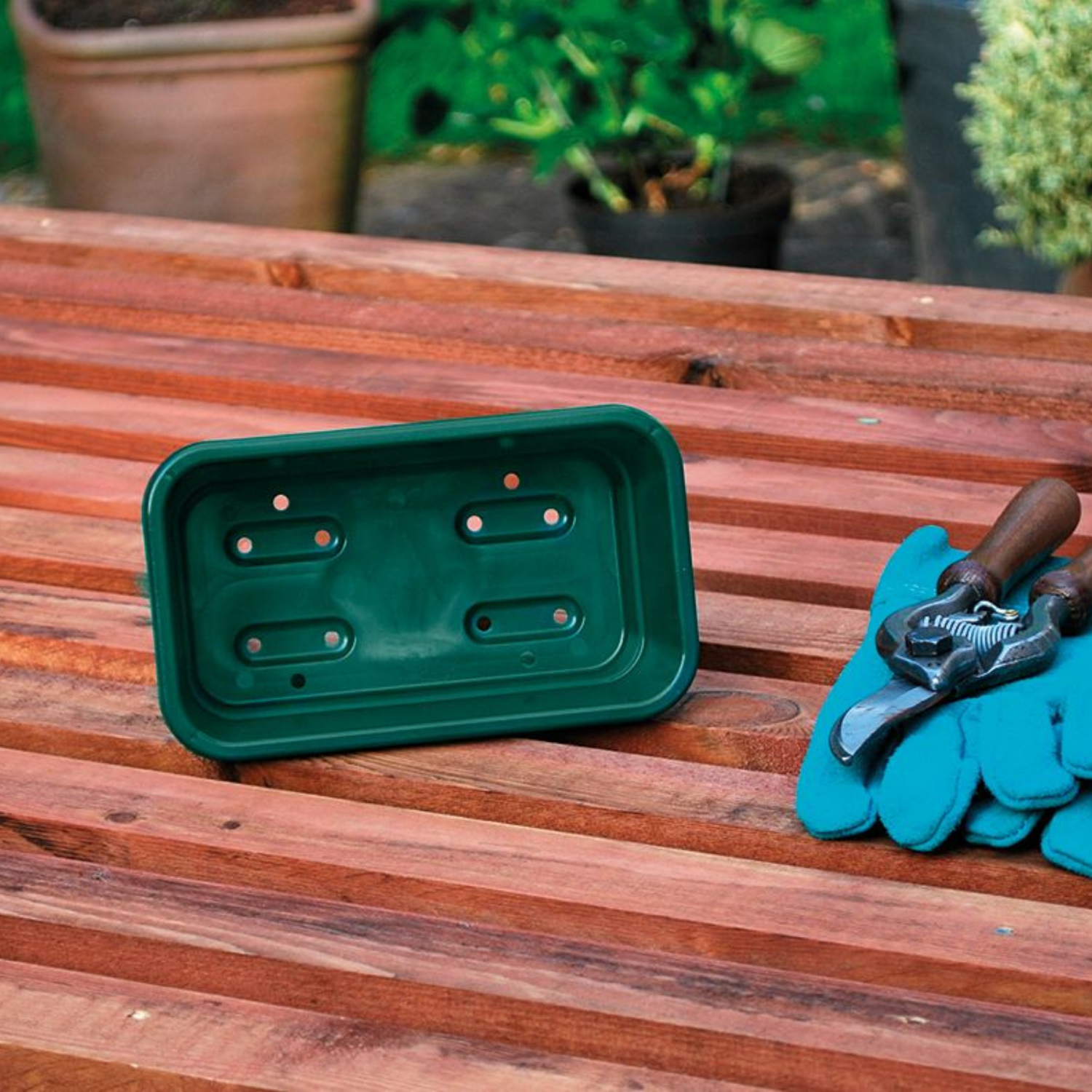 GARLAND Mini Seed Tray Green With Holes