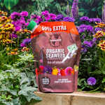Creation Garden Supplies ECOFECTIVE ORGANIC SEAWEED Garden supplies plant supplies plant food plant feed plant nutrition gardening products uk 