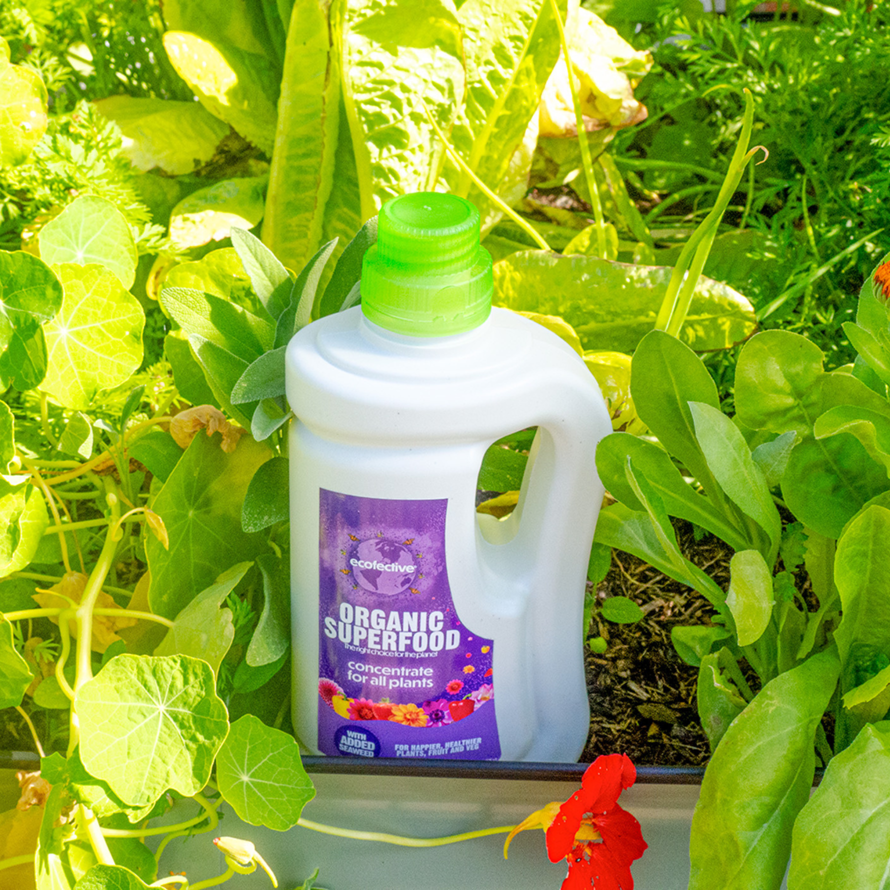 Creation Garden Supplies Ecofective organic superfood  Garden supplies plant supplies plant food plant feed plant nutrition gardening products uk 