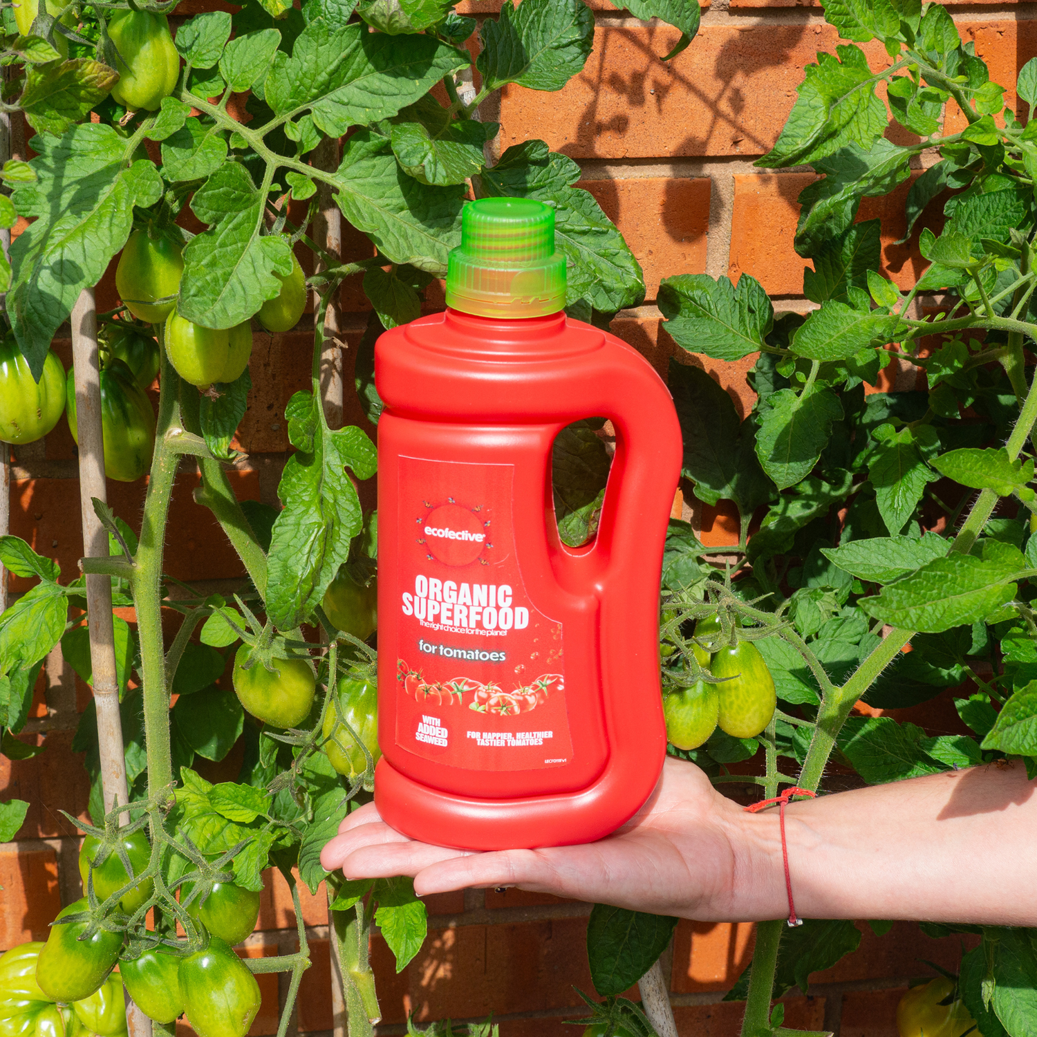Creation Garden Supplies Ecofective organic superfood for tomatoes Garden supplies plant supplies plant food plant feed plant nutrition gardening products uk 