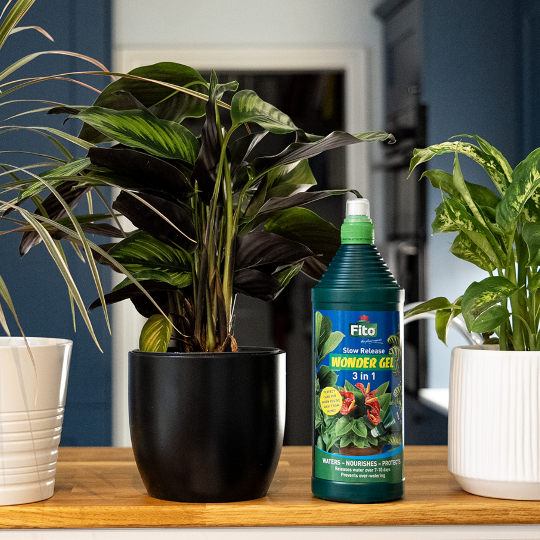 Creation Garden Supplies FITO Slow release wonder gel Garden supplies plant supplies plant food plant feed plant nutrition gardening products uk 