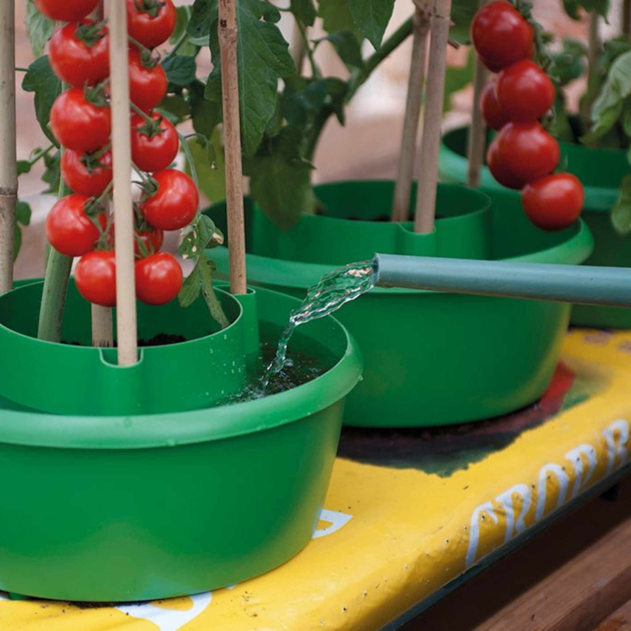 Creation Garden Supplies G167G Plant Halos on Grow Bag WateringGarden supplies plant supplies garden trays garland propagators gardening products uk 